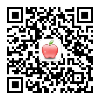app 网页版